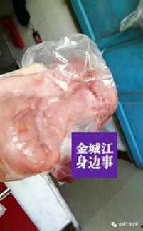 猪肉爆料视频大全集最新,揭秘行业真相与食品安全
