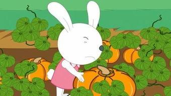 娱乐吃瓜小兔子,娱乐圈吃瓜小兔子的幕后故事