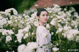 刘诗诗娱乐圈吃瓜